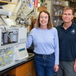 Study: Salk scientists identify possible healing compound in Yerba santa — (Details)