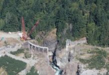 Offbeat: Ecosystem responses to dam removal complex, but predictable —