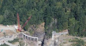 Offbeat: Ecosystem responses to dam removal complex, but predictable —