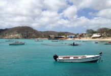 Research: Analysis reveals Caribbean communities that are most at risk from the social and ecological effects of coral bleaching —