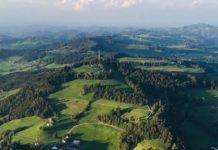 Offbeat: Habitats worthy of protection in Germany are protected, study finds —