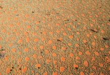 Research: Physical processes in the formation of circles —