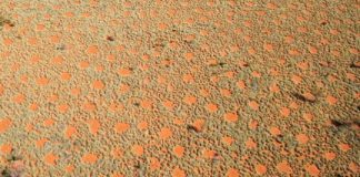 Research: Physical processes in the formation of circles —