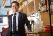 Research: Study describes molecular language bacteria use to control host genes and development —