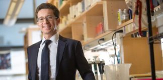 Research: Study describes molecular language bacteria use to control host genes and development —
