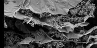 Tech: An injection of MXene ink fortifies silicon anodes to absorb charge without terminal swelling — (Report)