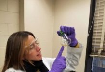 Research: Using E. coli to create bioproducts, like biodiesel, in a cost-effective manner —