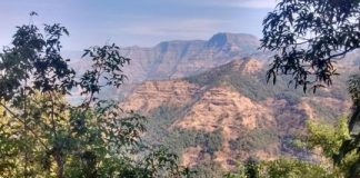 Research: Do volcanoes or an asteroid deserve blame for dinosaur extinction?