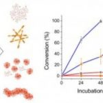 Study: The detailed findings could lead to more precise, effective methods of treating and diagnosing a variety of diseases, including cancers — (Details)