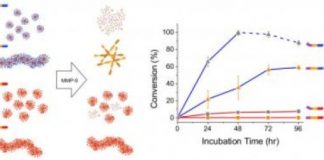 Study: The detailed findings could lead to more precise, effective methods of treating and diagnosing a variety of diseases, including cancers — (Details)