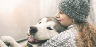 Research: Like humans, dogs’ personalities likely change over time —