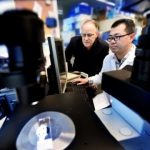 Study: Estrogen made by neurons important to making memories — (Details)