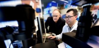 Study: Estrogen made by neurons important to making memories — (Details)