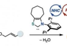 Tech: Researchers showcase a green, economical way to accomplish a key organic synthesis reaction through synergy between two catalysts — (Report)