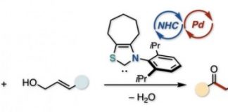 Tech: Researchers showcase a green, economical way to accomplish a key organic synthesis reaction through synergy between two catalysts — (Report)