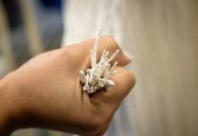 Tech: New membrane water treatment system to reduce toxic waste by over 90 percent — (Report)