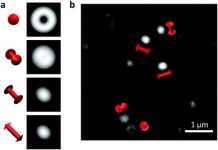 Tech: New imaging technique reveals how mechanical damage begins at the molecular scale — (Report)