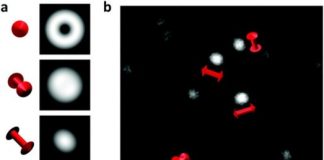 Tech: New imaging technique reveals how mechanical damage begins at the molecular scale — (Report)