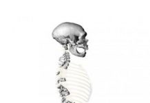 Research: Neanderthals walked upright just like the humans of today —