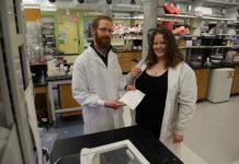 Tech: Engineers create rubbery ‘smart’ material to treat open wounds, infections and cancer — (Report)