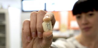 Research: Oldest frog relative found in North America —