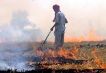 Research: Crop residue burning is a major contributor to air pollution in South Asia —