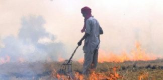 Research: Crop residue burning is a major contributor to air pollution in South Asia —