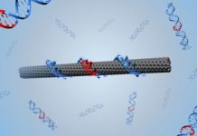 Tech: Directed evolution builds nanoparticles — (Report)