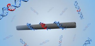 Tech: Directed evolution builds nanoparticles — (Report)