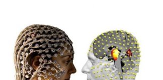 Study: A gentle method for unlocking the mysteries of the deep brain — (Details)