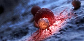 Study: Scientists show that deleting troublesome proteins in a mouse model can shrink tumors and prolong survival — (Details)