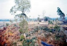 Research: Toxic byproducts of Agent Orange continue to pollute Vietnam environment —