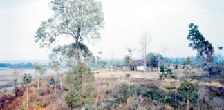 Research: Toxic byproducts of Agent Orange continue to pollute Vietnam environment —