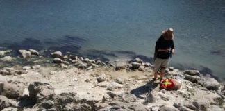 Research: Researchers offer new guidelines and criteria for accurate dating of ancient clam gardens —