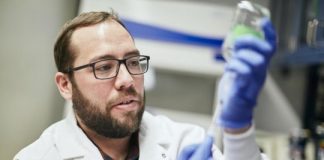 Research: ‘Incredibly’ diverse microbial community high in Yellowstone —