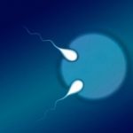 Study: First semi-identical twins identified in pregnancy — (Details)