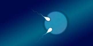 Study: First semi-identical twins identified in pregnancy — (Details)