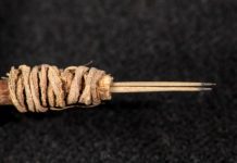 Research: Oldest tattoo tool in western North America —