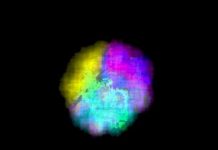 Tech: Guidelines have the potential to transform the fields of optoelectronics, bio-imaging and energy harvesting — (Report)