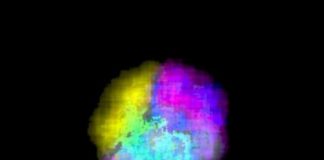 Tech: Guidelines have the potential to transform the fields of optoelectronics, bio-imaging and energy harvesting — (Report)