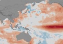 Research: 2015-2016 El Niño triggered disease outbreaks across globe —