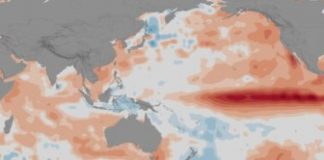 Research: 2015-2016 El Niño triggered disease outbreaks across globe —
