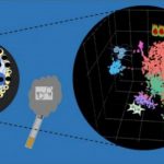 Study: Nicotine may harm human embryos at the single-cell level — (Details)