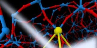 Tech: What causes that peak? Answering a long-standing question for covalent liquids — (Report)