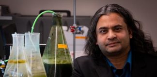 Research: Engineers develop fast method to convert algae to biocrude —