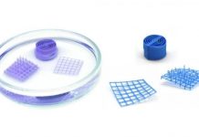 Tech: X-ray investigation reveals functioning of highly versatile copper-based compound — (Report)