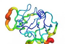 Tech: Researchers show that they can quickly measure a protein’s microscopic movements, opening new possibilities in medical research — (Report)