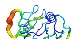 Tech: Researchers show that they can quickly measure a protein’s microscopic movements, opening new possibilities in medical research — (Report)