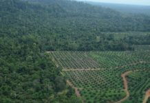 Tech: Technological advances in agriculture are not a sufficient response — (Report)