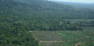 Tech: Technological advances in agriculture are not a sufficient response — (Report)